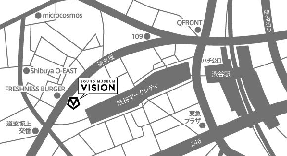 VISION map